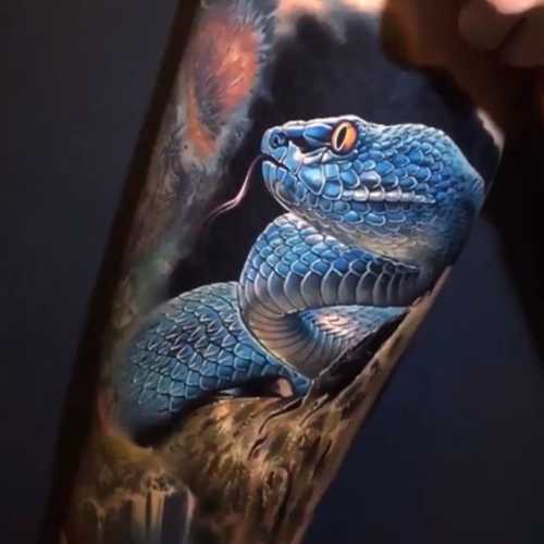 20 Unveiling the Snake Tattoo Sleeve