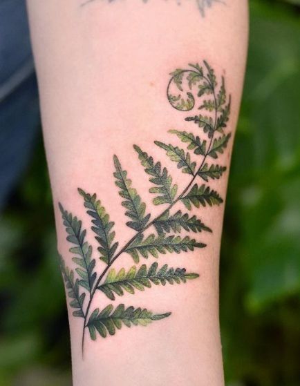 29 Fern Tattoo Ideas: Nature s Most Elegant Lines, From Shoulder Fronds to Hip Vines