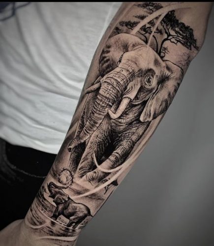 21 Elephant Tattoos on Forearm Ideas
