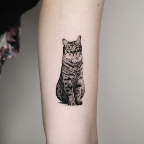 25 Simple Cat Tattoo Ideas