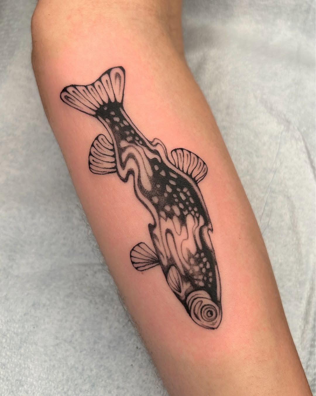 27 Fish Tattoo Designs With Meaning Koi, Minimalist, and Traditional Styles
