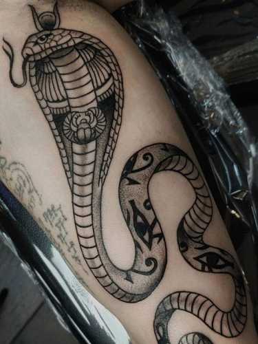 29 Mesmerizing Snake Tattoo Design Ideas