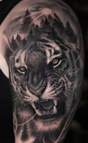 25 Tiger Tattoo on Arm Ideas
