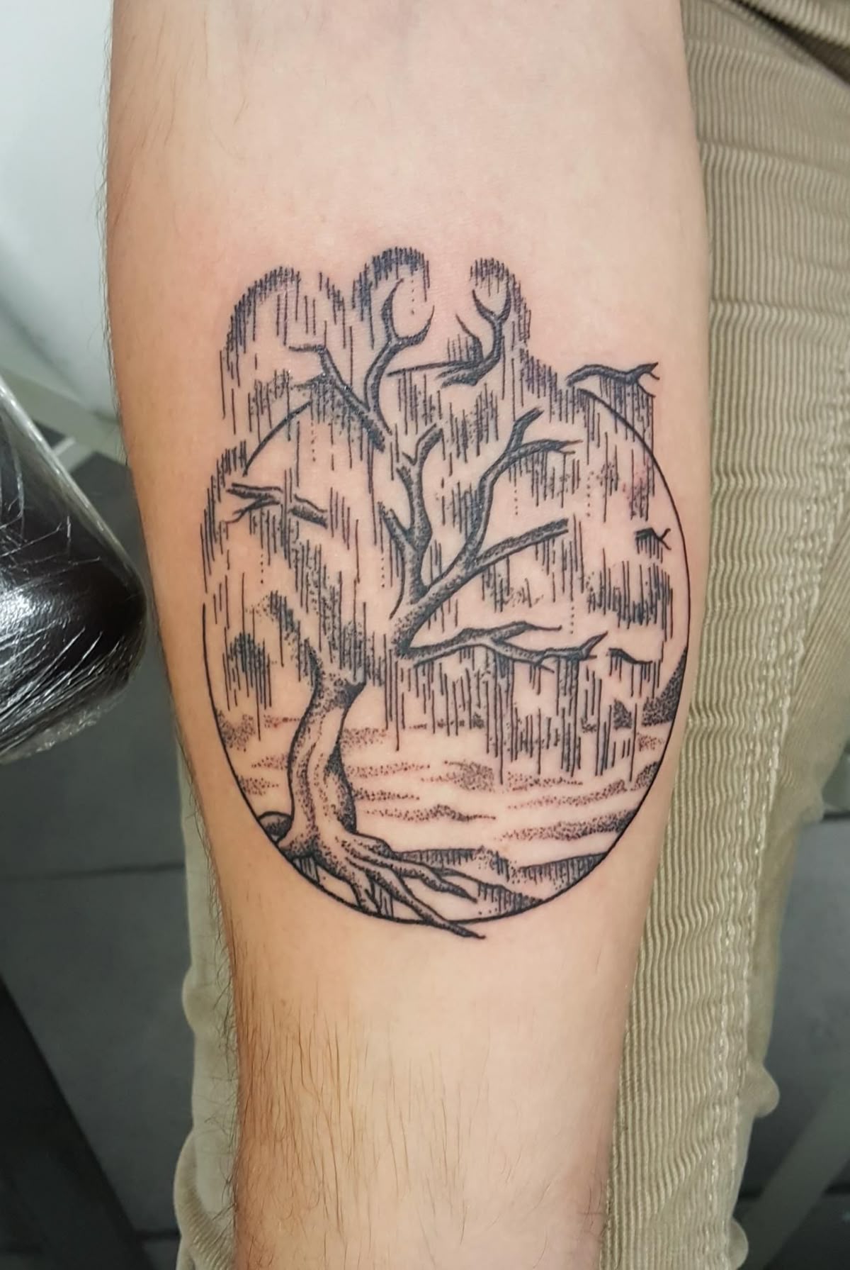 28 Willow Tree Tattoo Ideas: Graceful Designs Filled with Emotion, Meaning, and Quiet Strength