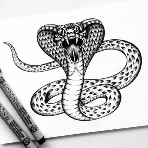15 Captivating Snake Tattoo Sketch Ideas