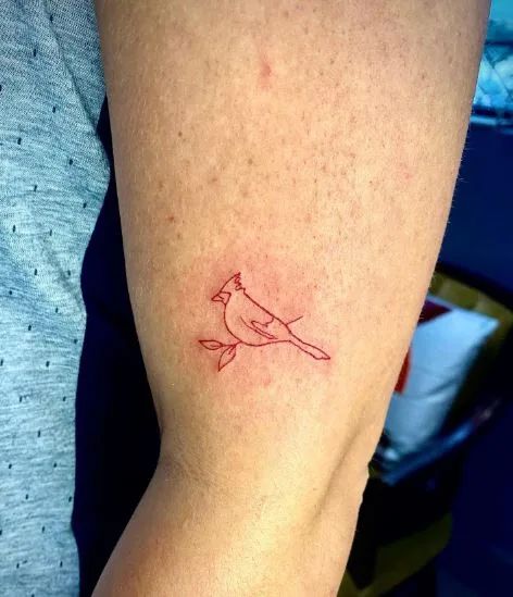 28 Cardinal Tattoo Ideas for Women and Men: Memorial, Fine Line, Stencil Outline, Small Flying