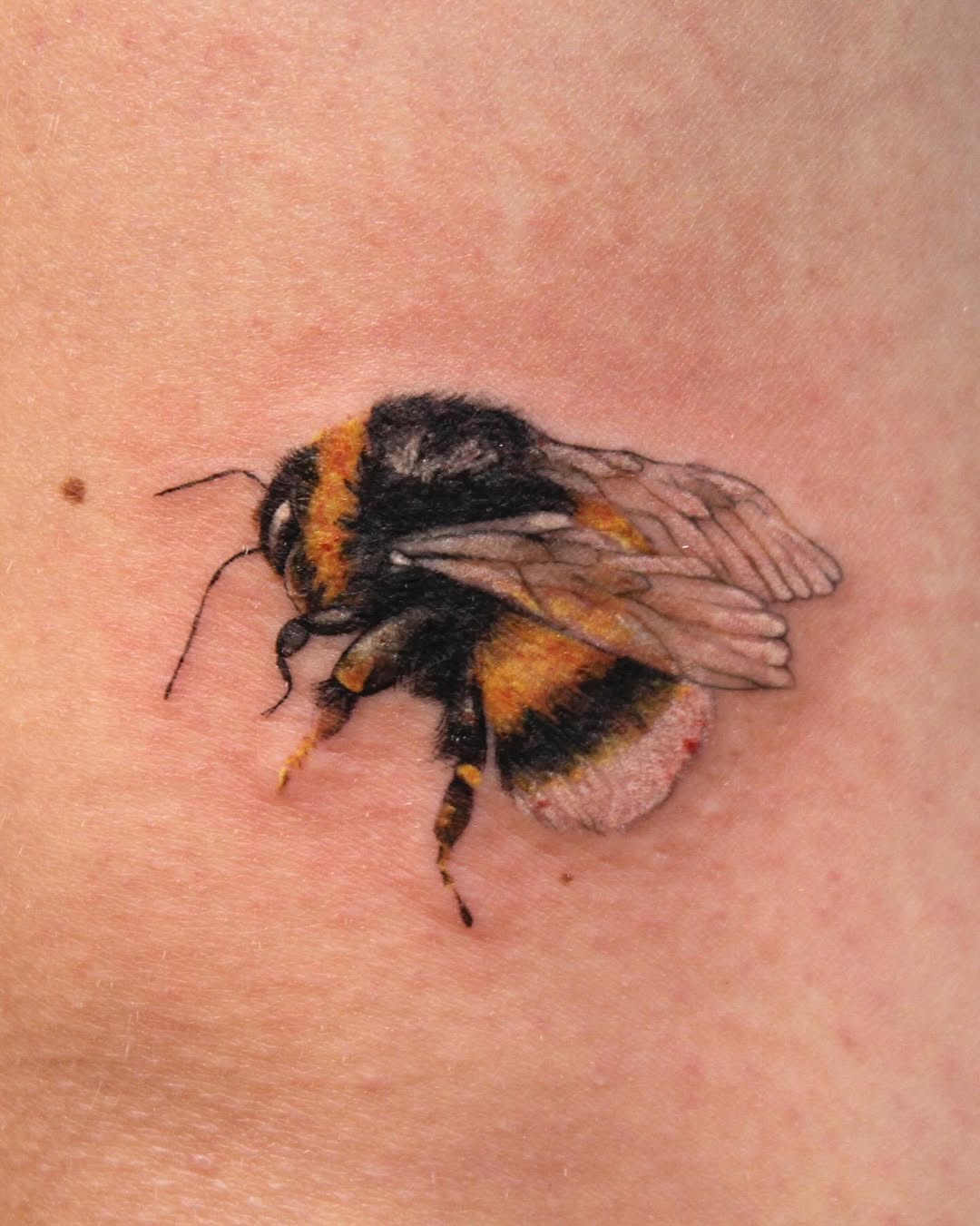 27 Bumble Bee Tattoo Ideas: From Fine-Line Minis to Fuzzy Realism