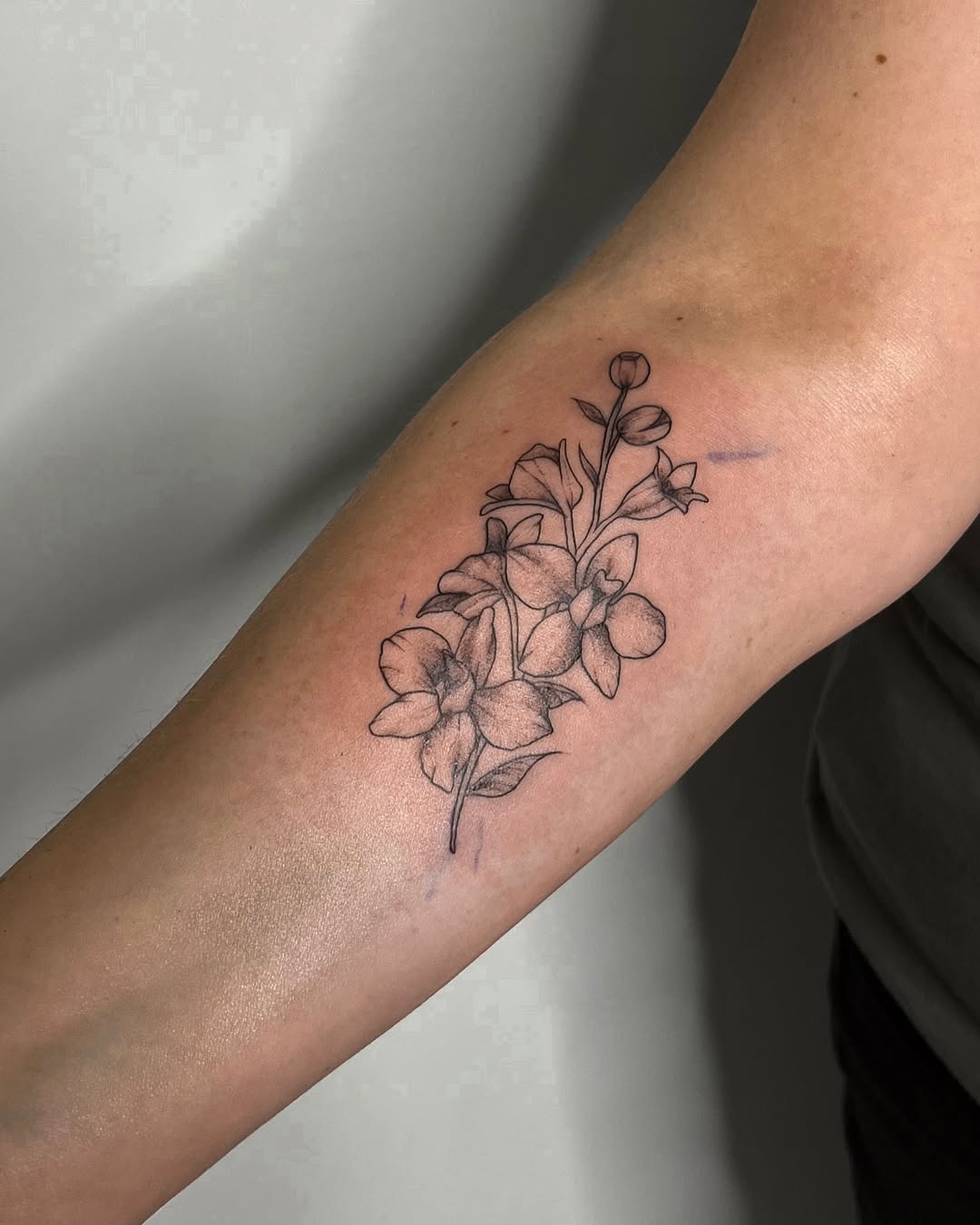 28 Larkspur Tattoo Ideas: Delicate July Blooms with Big Meaning