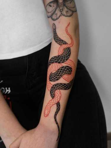 20 Unveiling the Snake Tattoo Sleeve