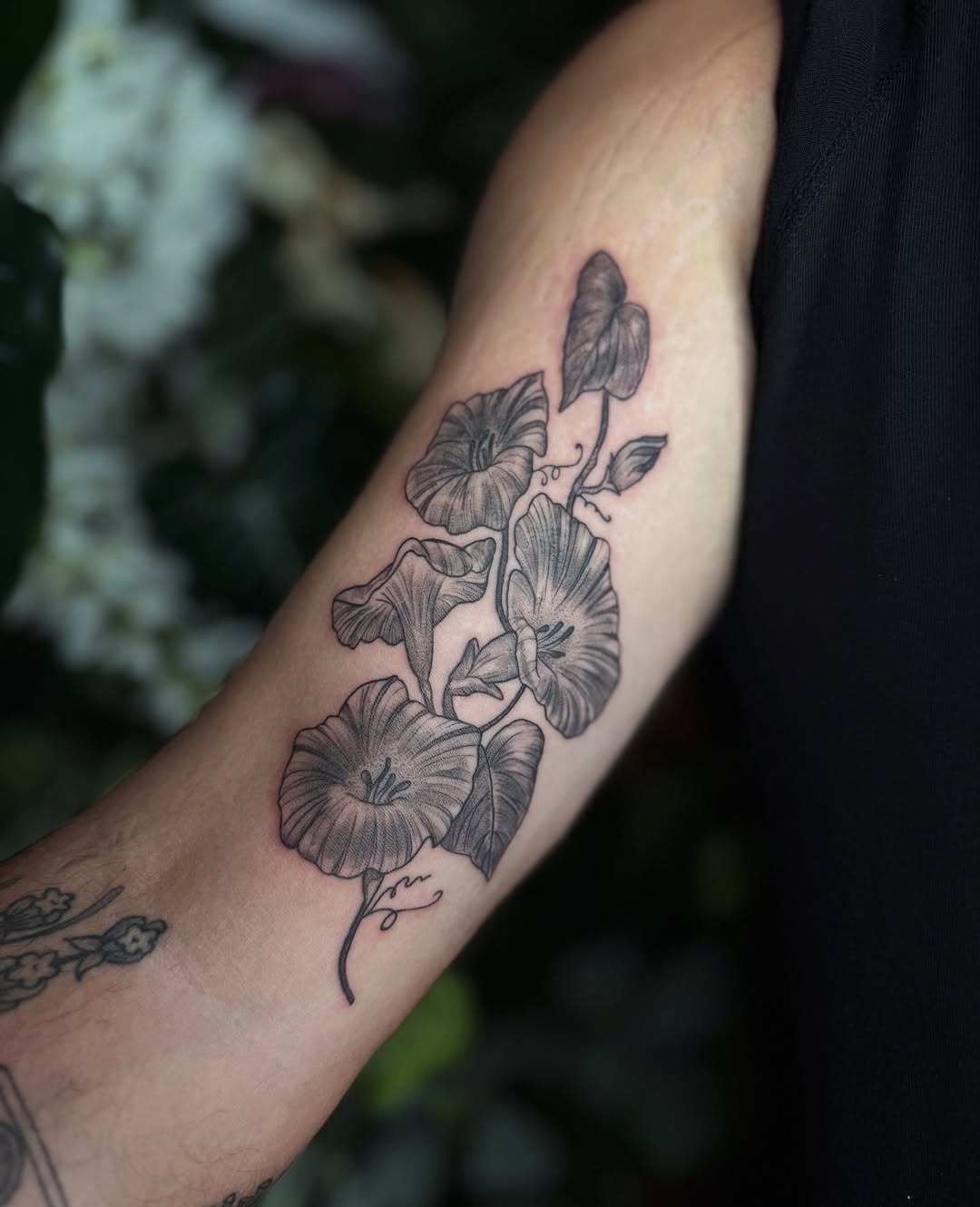 29 Morning Glory Tattoo Ideas: Elegant Vines, Quiet Symbolism, and Wearable Color