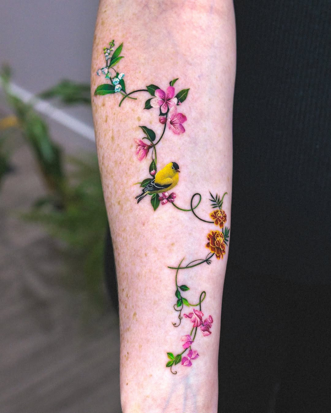 25 Vine Tattoo Designs for Women and Men Sleeve, Arm, Shoulder, Traditional, Wrap Around Ideas