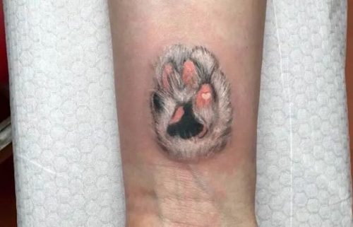 17 Cat Paw Print Tattoo Ideas