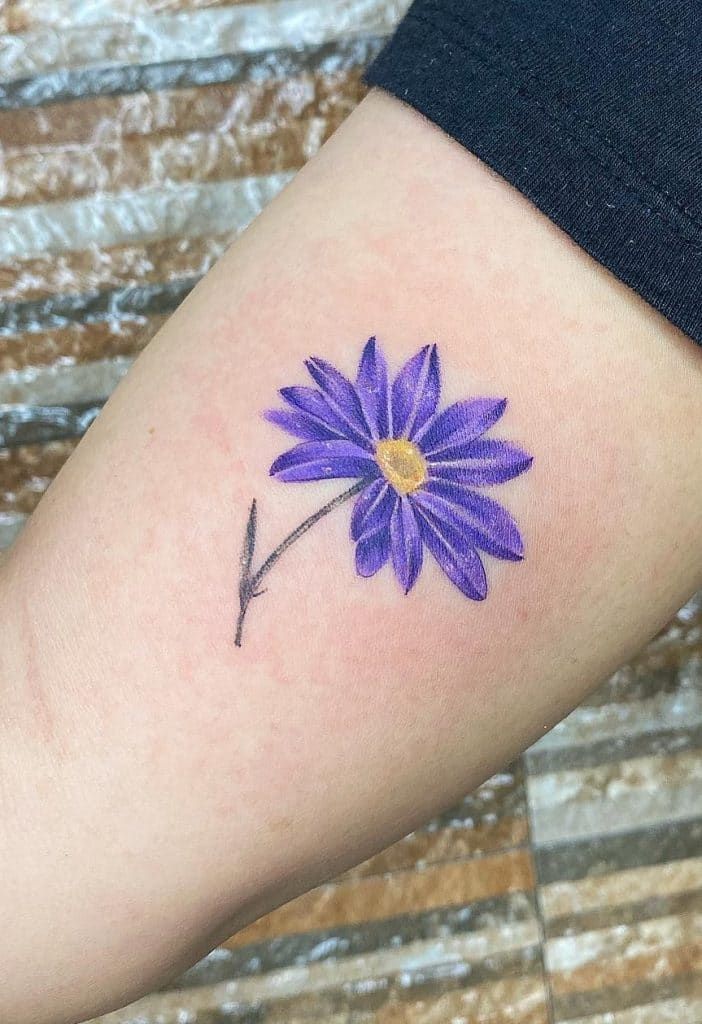 25 September Birth Flower Tattoo Ideas : Aster Designs with Name, Color, Spine, and Memorial Ink Styles