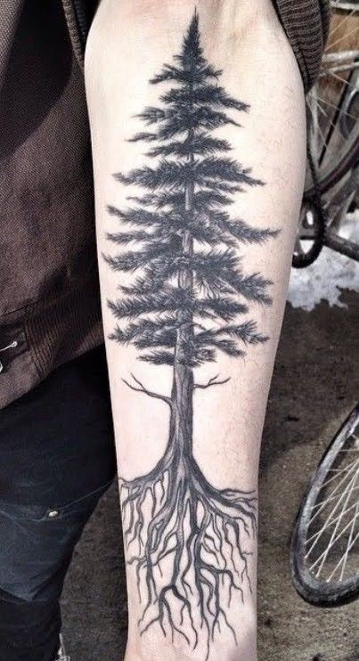 30 Pine Tree Tattoo Ideas: Quiet Symbols of Resilience, Place, and Peace