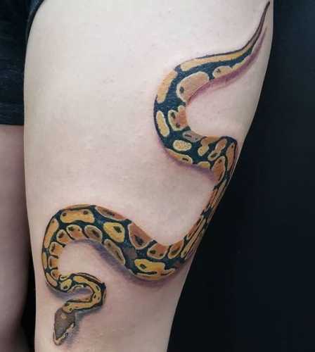 25 Ideas Embracing Color in Snake Tattoo Designs