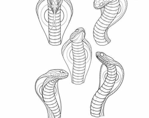 15 Captivating Snake Tattoo Sketch Ideas