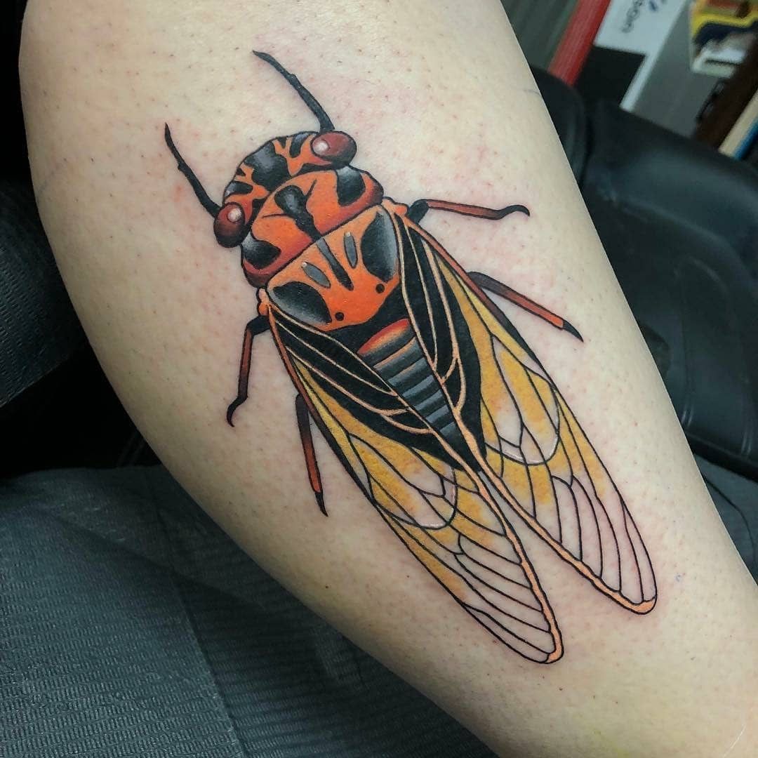 29 Cicada Tattoo Ideas: From Simple Linework to Lush Color