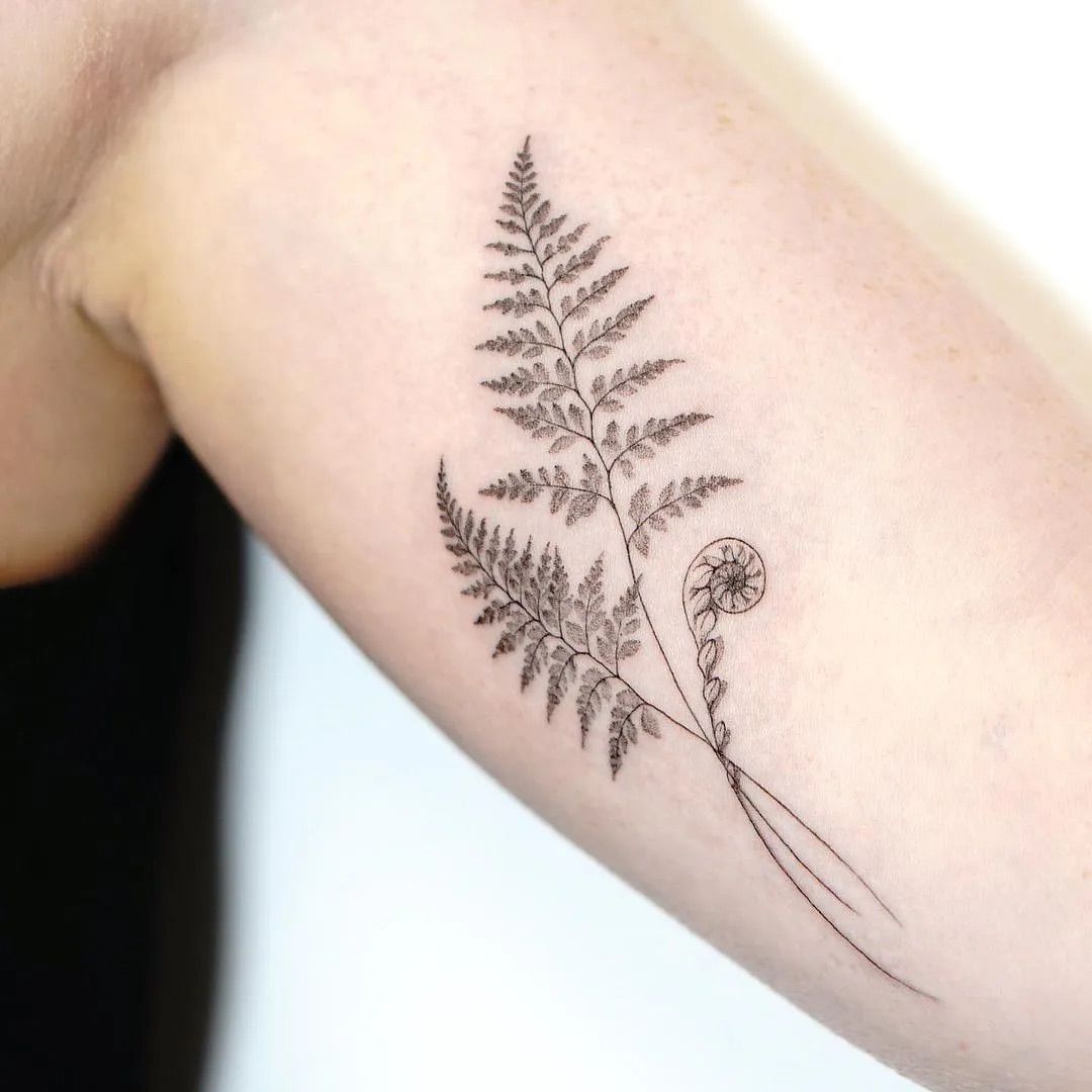 29 Fern Tattoo Ideas: Nature s Most Elegant Lines, From Shoulder Fronds to Hip Vines