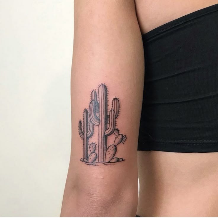 25 Cactus Tattoo Ideas : Creative, Minimalist, Traditional, and Realistic Designs for Women and Men