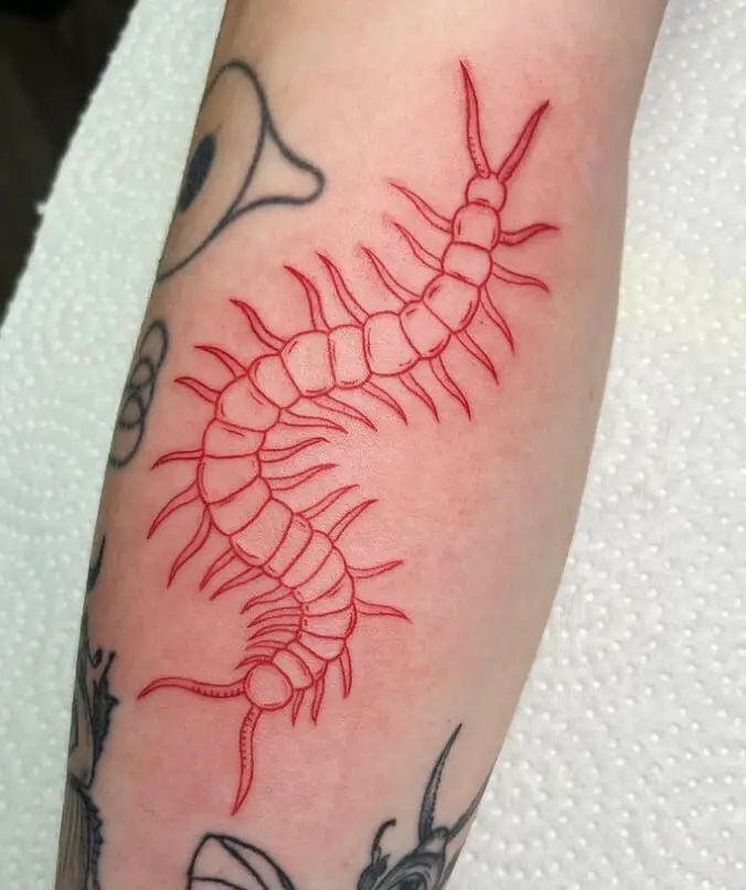 31 Centipede Tattoo Ideas : Blackwork, Traditional, Tokyo Ghoul, Spider Lily, Skull, Giant Back