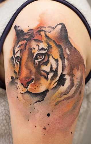 25 Tiger Tattoo on Forearm Ideas