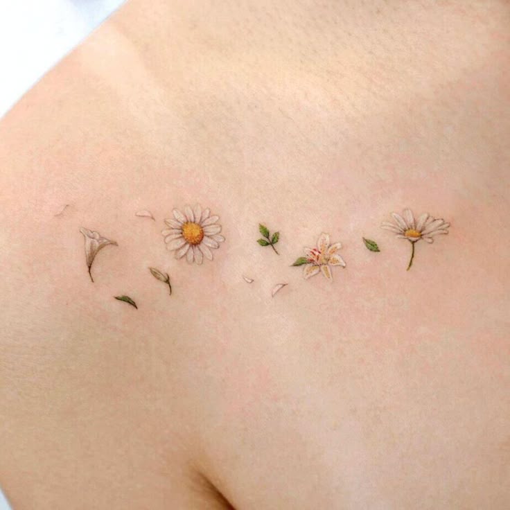 25 Daisy Tattoo Ideas with Fine Line, Watercolor, Minimalist, Stencil, Traditional & Dainty Designs