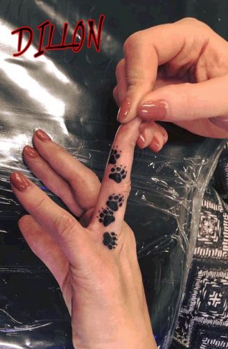 27 Cat Tattoo Ideas for the Finger