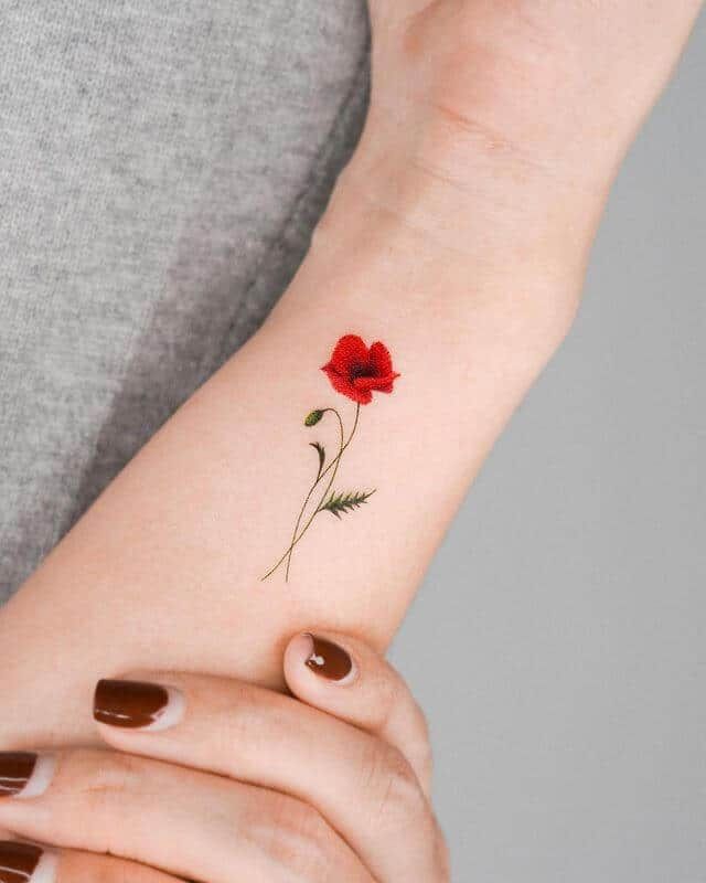28 Poppy Tattoo Ideas for Women & Men Fine Line, Traditional, Minimalist & Bold Red Floral Designs