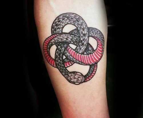21 Snake Shoulder Tattoos Ideas for Bold Expressions