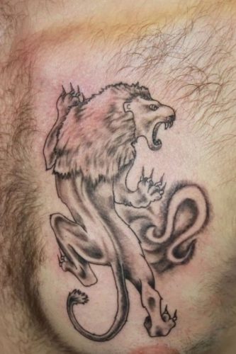 Lion Tattoo Outline: 19 Bold and Striking Silhouette Designs