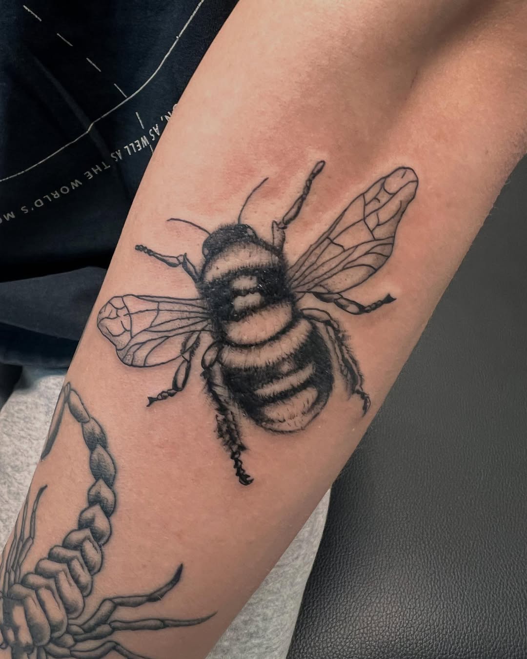 27 Bumble Bee Tattoo Ideas: From Fine-Line Minis to Fuzzy Realism