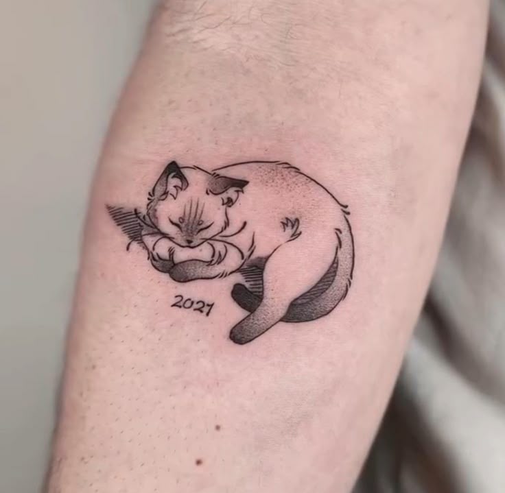 Here Are 28 Cat Tattoo Ideas to Consider in for Women and Men: Minimalist, Funny, Gothic