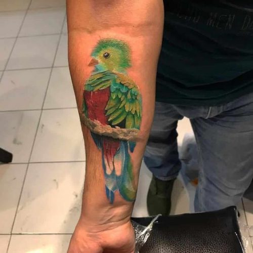 Explore 20 Captivating Quetzal Tattoo Designs for a Vibrant Ink Inspiration