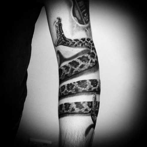 20 Snake Tattoos on Arm for a Bold Statement