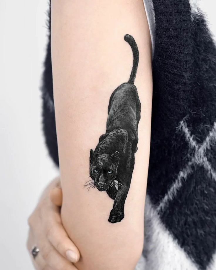 30 Panther Tattoo Ideas for Men and Women Traditional, Neo Traditional, Pink, Black Ink