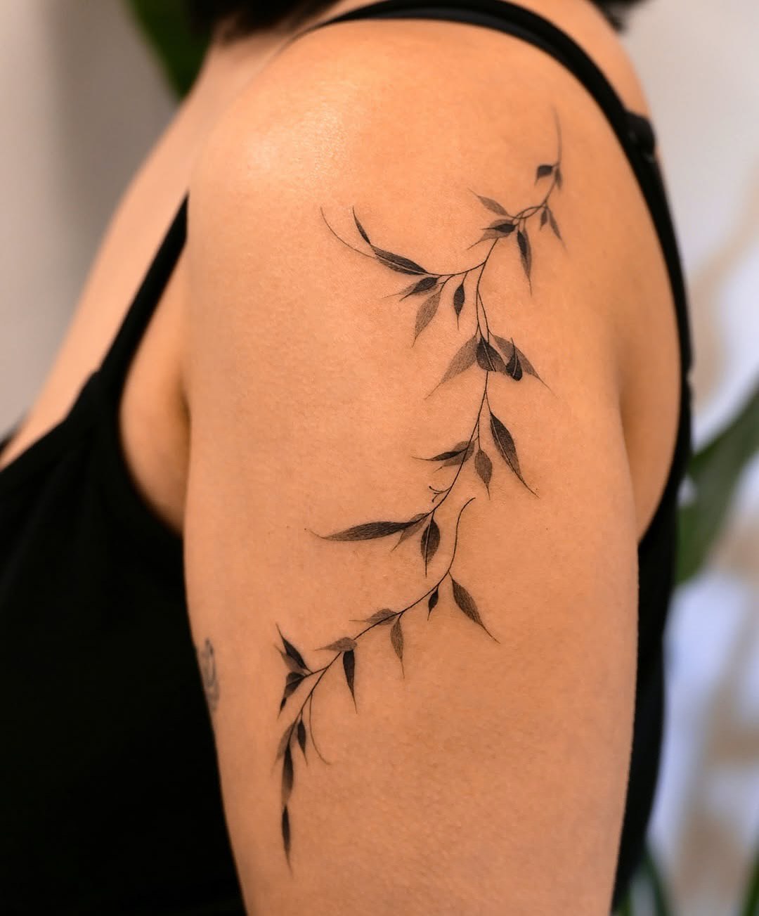 25 Vine Tattoo Designs for Women and Men Sleeve, Arm, Shoulder, Traditional, Wrap Around Ideas