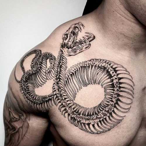20 Masterful Snake Tattoos Drawing Concepts