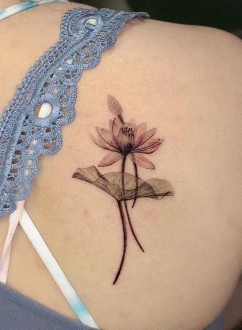 30 Creative Water Lily Tattoos for : Tattoos with Special Meanings