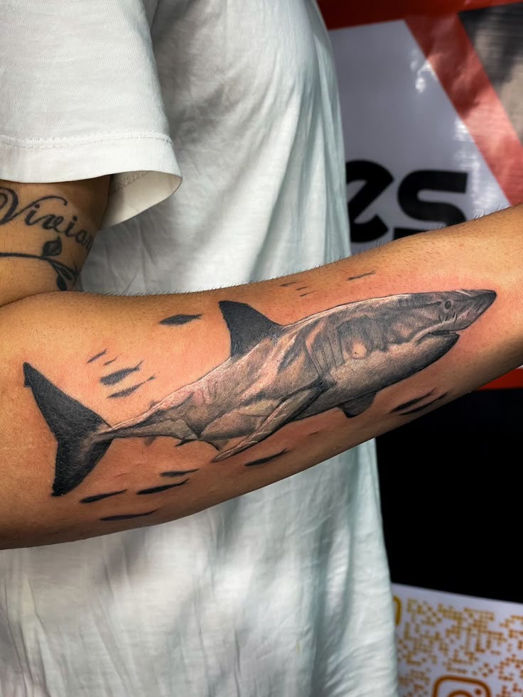 27 Shark Tattoo Ideas for Men & Women: Cute, Minimal, Traditional, Japanese Styles