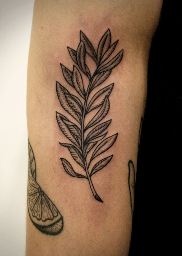 26 Olive Branch Tattoo Ideas : Fine Line, Arm Wrap, Minimal, American Traditional Designs
