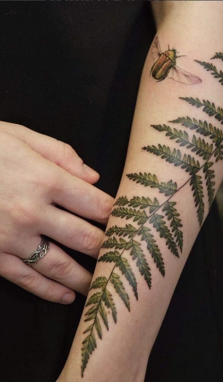 29 Fern Tattoo Ideas: Nature s Most Elegant Lines, From Shoulder Fronds to Hip Vines