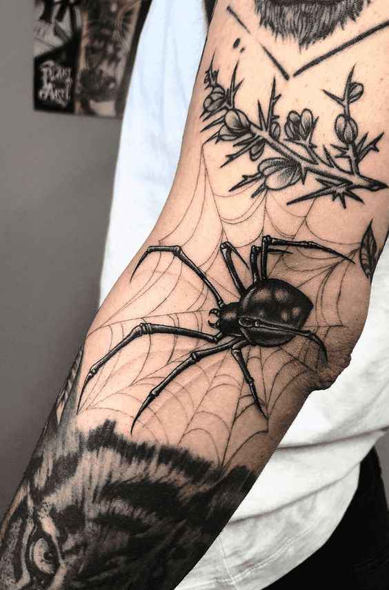 27 Spider Web Tattoo Ideas for Men and Women Shoulder, Full Sleeve, Stencil Designs