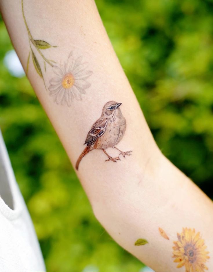 29 Sparrow Tattoo Ideas : Traditional, Men Arm and Hand Designs, Meaningful Bird Tattoos