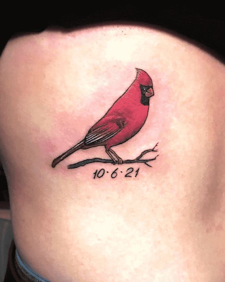28 Cardinal Tattoo Ideas for Women and Men: Memorial, Fine Line, Stencil Outline, Small Flying