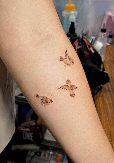 29 Sparrow Tattoo Ideas : Traditional, Men Arm and Hand Designs, Meaningful Bird Tattoos