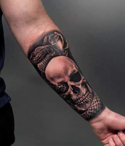 20 Snake Tattoos on Arm for a Bold Statement