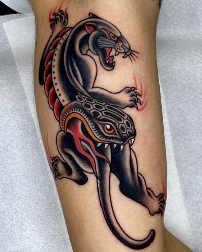 17 Explore Snake Tattoo Traditional Designs