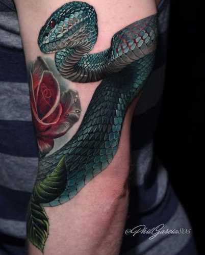 25 Ideas Embracing Color in Snake Tattoo Designs
