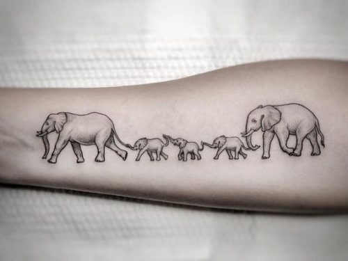 21 Elephant Tattoos on Forearm Ideas