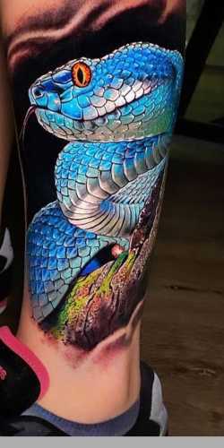 25 Ideas Embracing Color in Snake Tattoo Designs